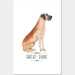 Great Dane Posters and Art